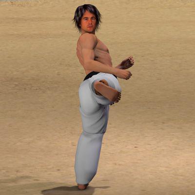 MAE GERI
