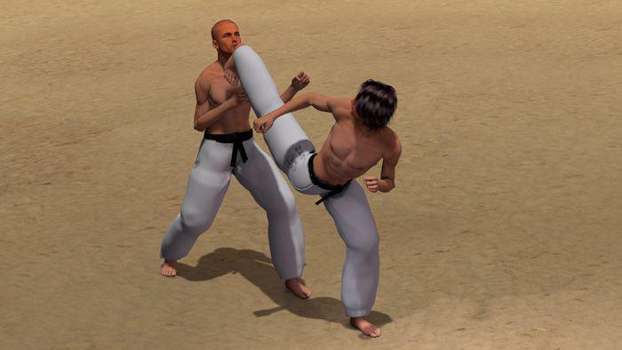 USHIRO GERI