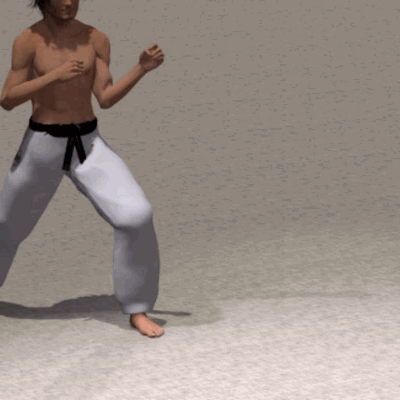 SURI KONDE MAE GERI