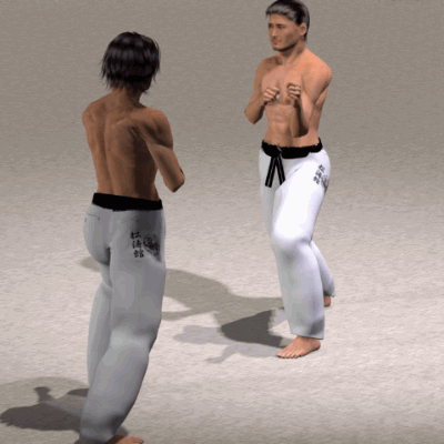 SURI KONDE MAE GERI