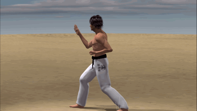 YOKO ASHI GERI