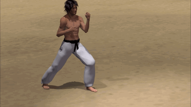 YOKO GERI KEKOMI