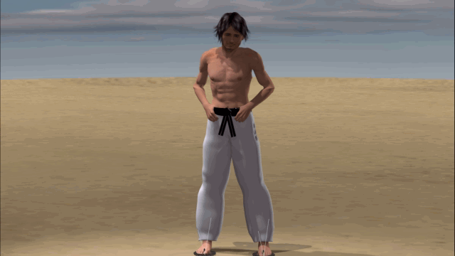 YOKO GERI KEAGE KYOKUSHINKAI