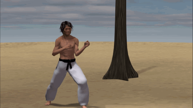 YOKO ASHI TOBI GERI